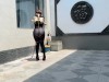 【路由紧缚】紧缚玩偶01-小鸡翘臀缚