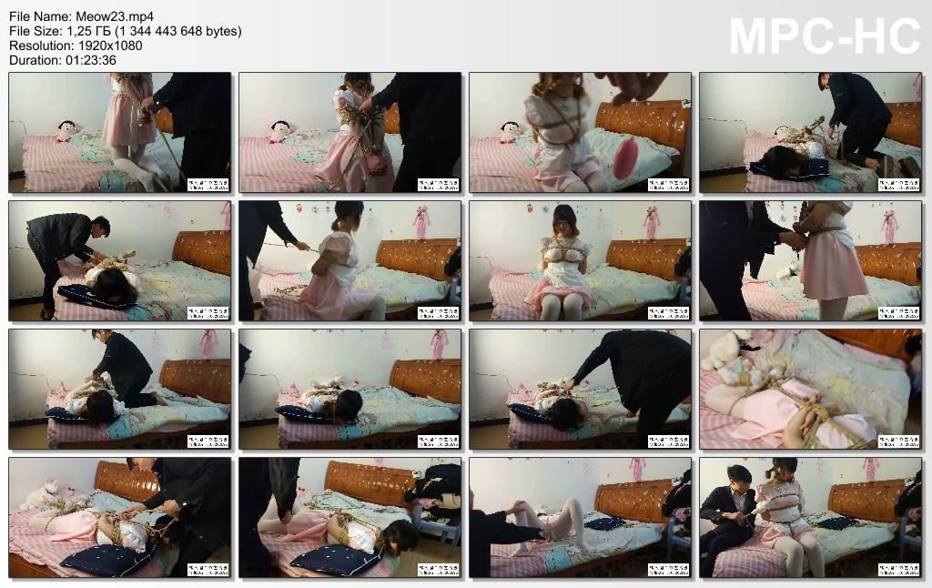 Meow23-25933.jpg