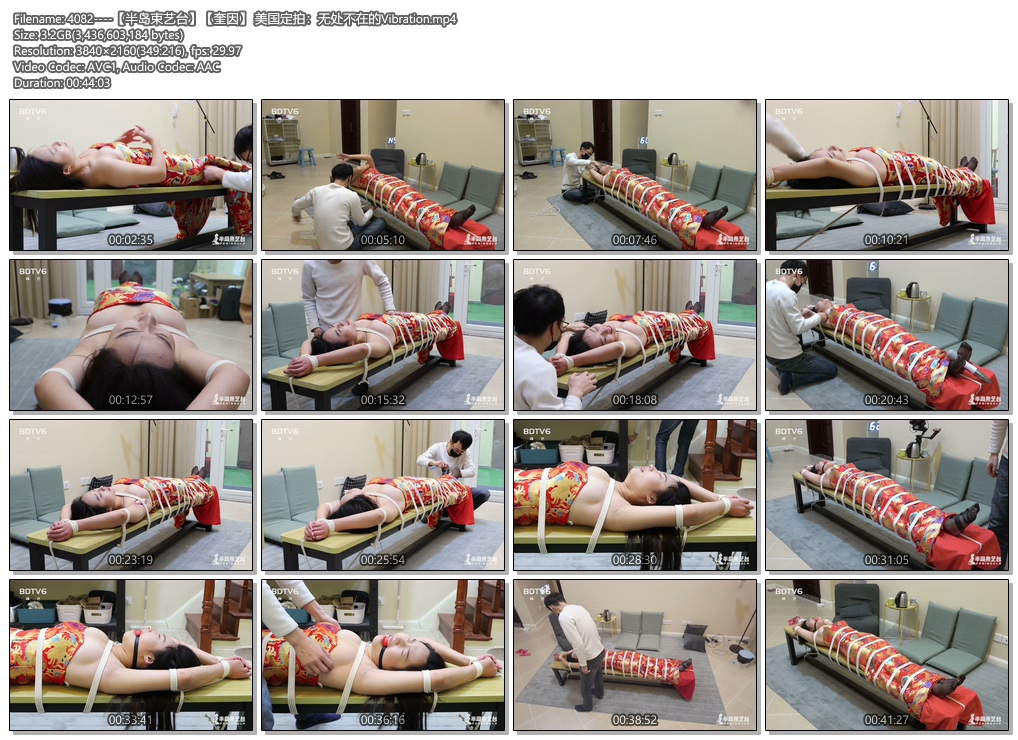4082----【半岛束艺台】【奎因】 美国定拍：无处不在的Vibration.jpg