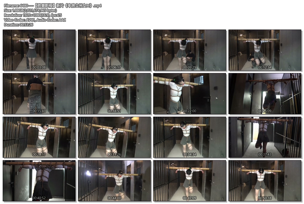 6480----【胜景影视】新片《牢房立吊女M》.jpg