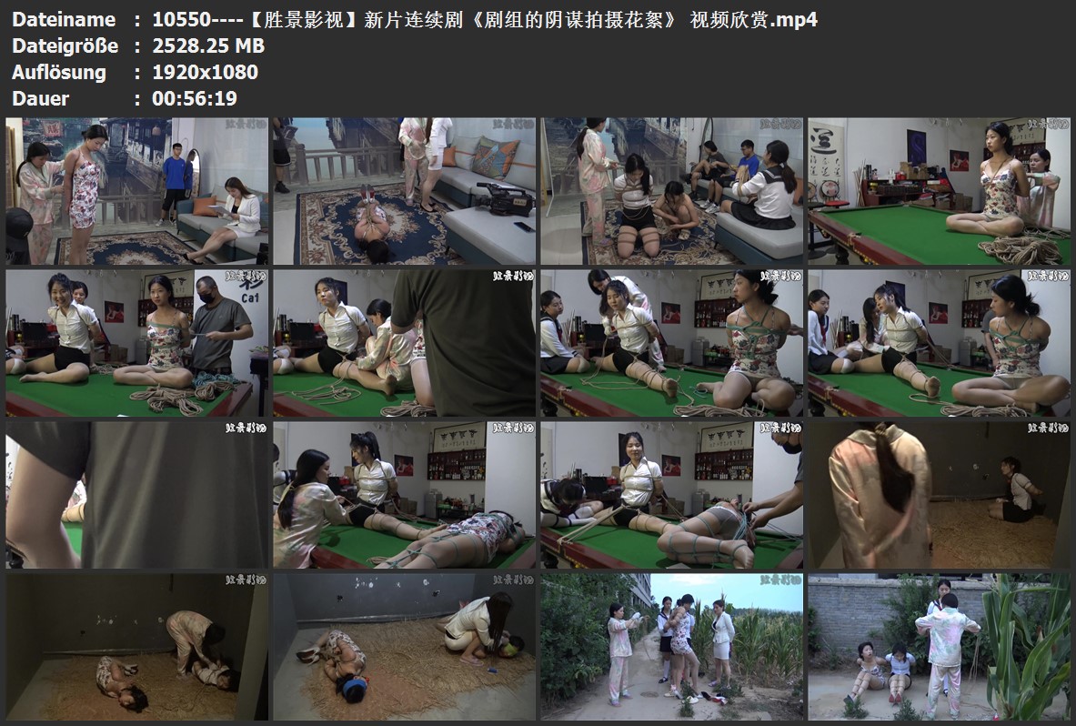 10550----【胜景影视】新片连续剧《剧组的阴谋拍摄花絮》 视频欣赏.jpg