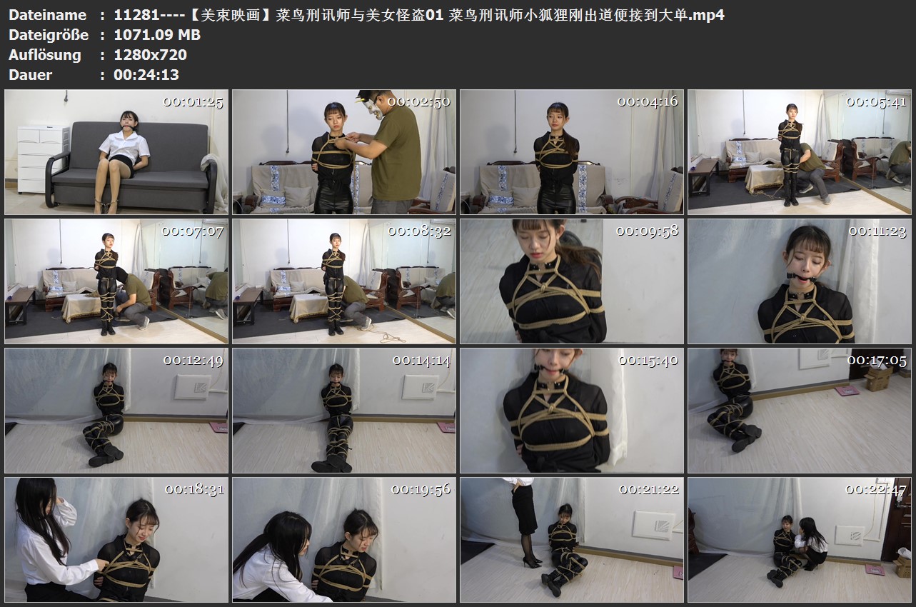 11281----【美束映画】菜鸟刑讯师与美女怪盗01 菜鸟刑讯师小狐狸刚出道便接到大单.jpg