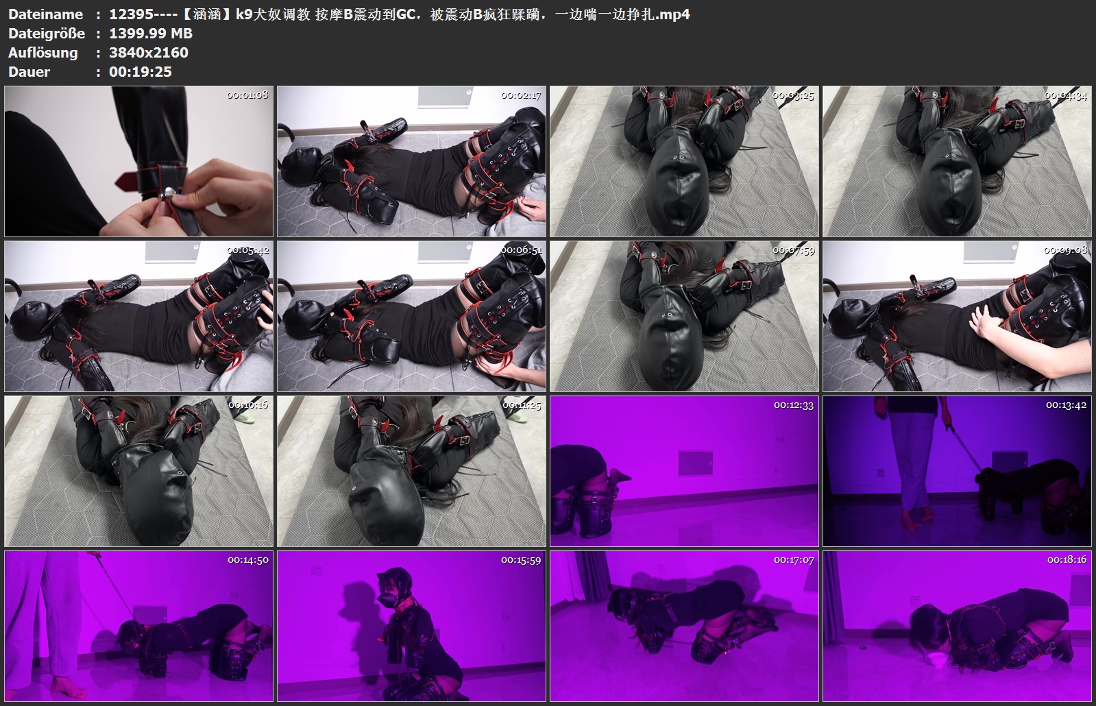 12395----【涵涵】k9犬奴调教 按摩B震动到GC，被震动B疯狂蹂躏，一边喘一边挣扎.jpg