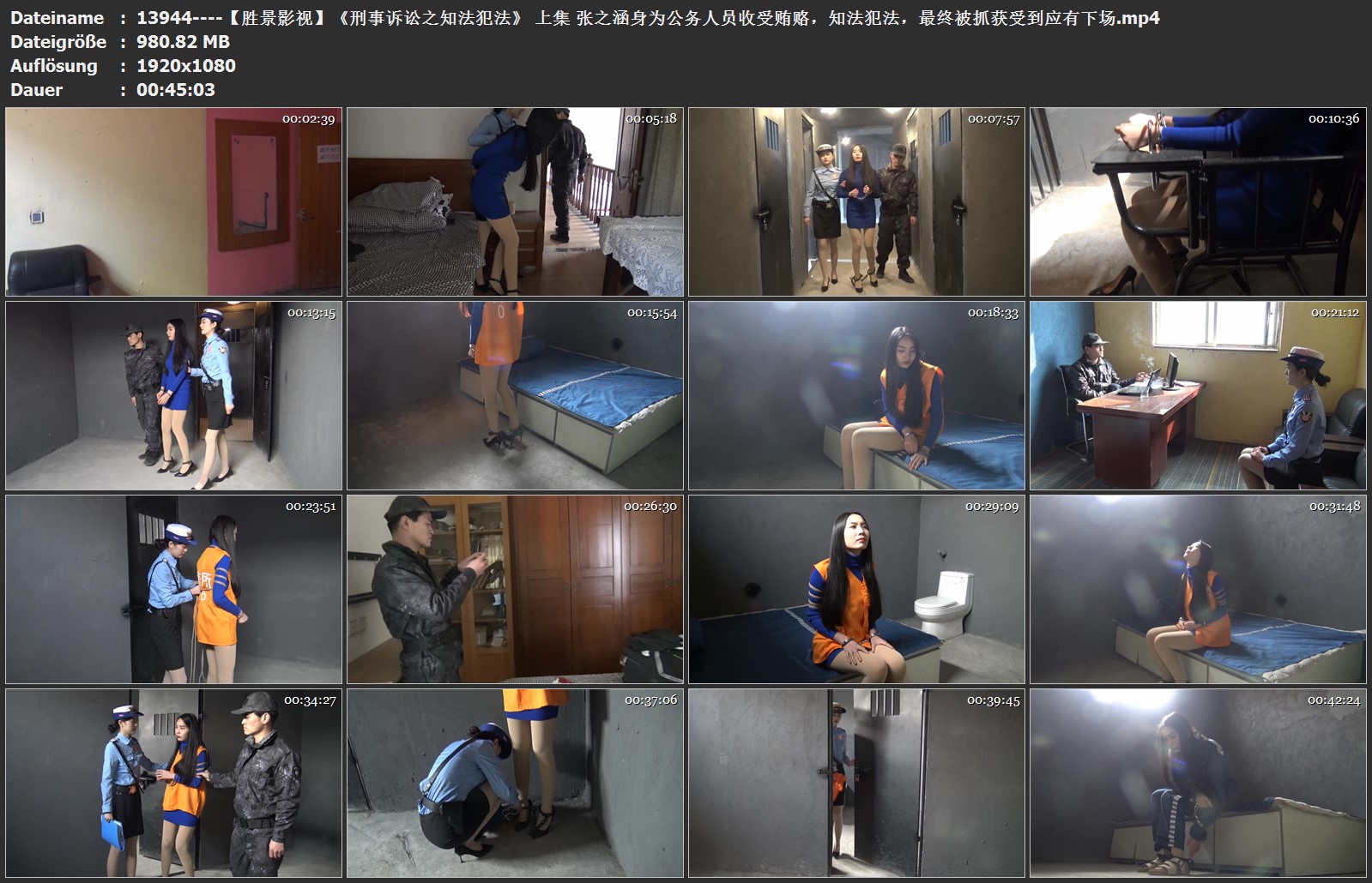 13944----【胜景影视】《刑事诉讼之知法犯法》 上集 张之涵身为公务人员收受贿赂，知.jpg