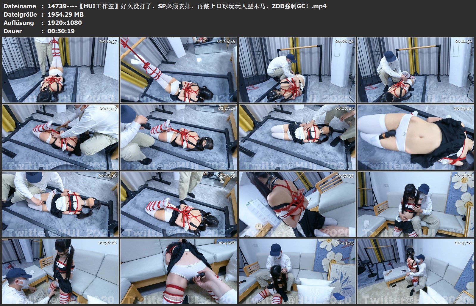 14739----【HUI工作室】好久没打了，SP必须安排，再戴上口球玩玩人型木马，ZDB强制GC！.jpg