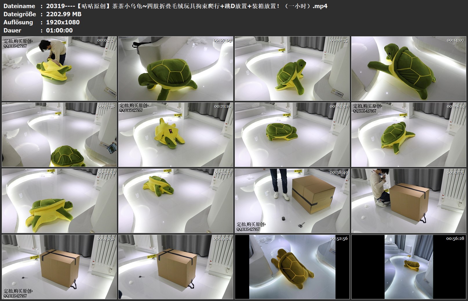 20319----【咕咕原创】茶茶小乌龟~四肢折叠毛绒玩具拘束爬行 跳D放置 装箱放置！（一小时）.jpg
