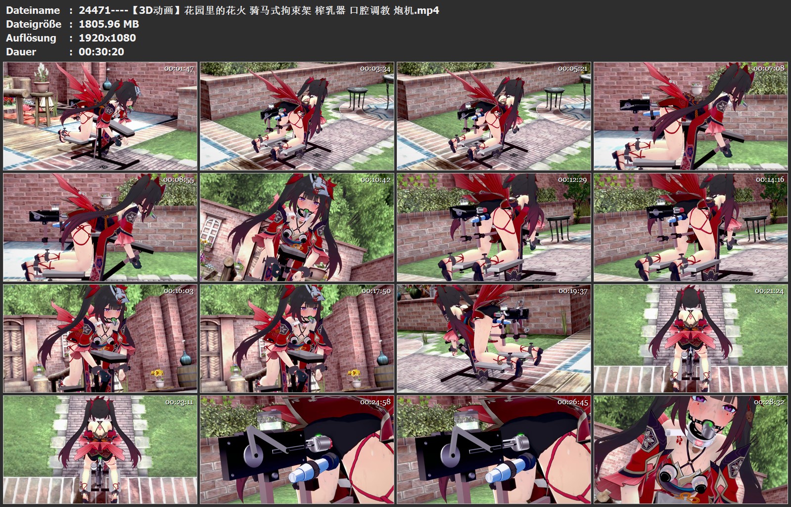 24471----【3D动画】花园里的花火 骑马式拘束架 榨乳器 口腔调教 炮机.jpg