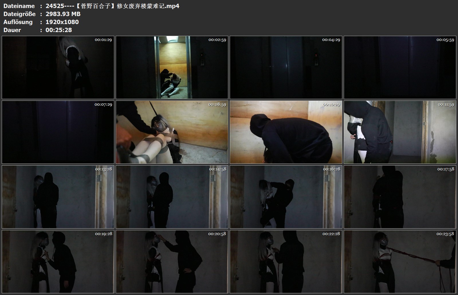 24525----【菅野百合子】修女废弃楼蒙难记.jpg