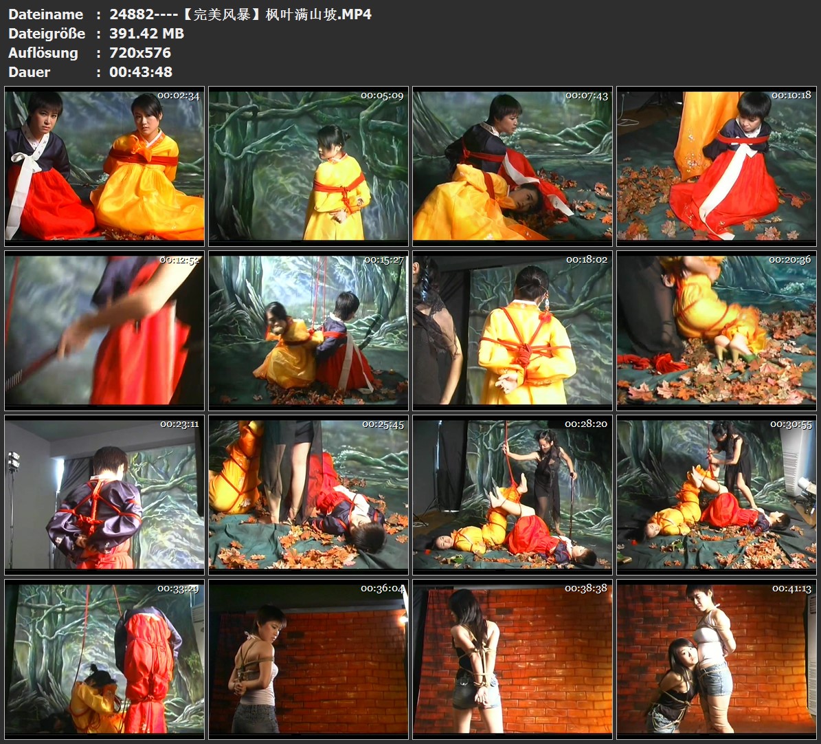 24882----【完美风暴】枫叶满山坡.jpg