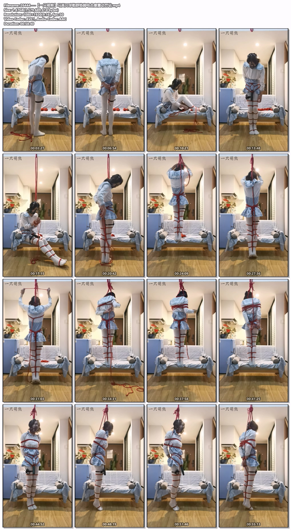 26444----【一只萌熊】马具口球勒脖垫脚电击塞震动罚站.jpg