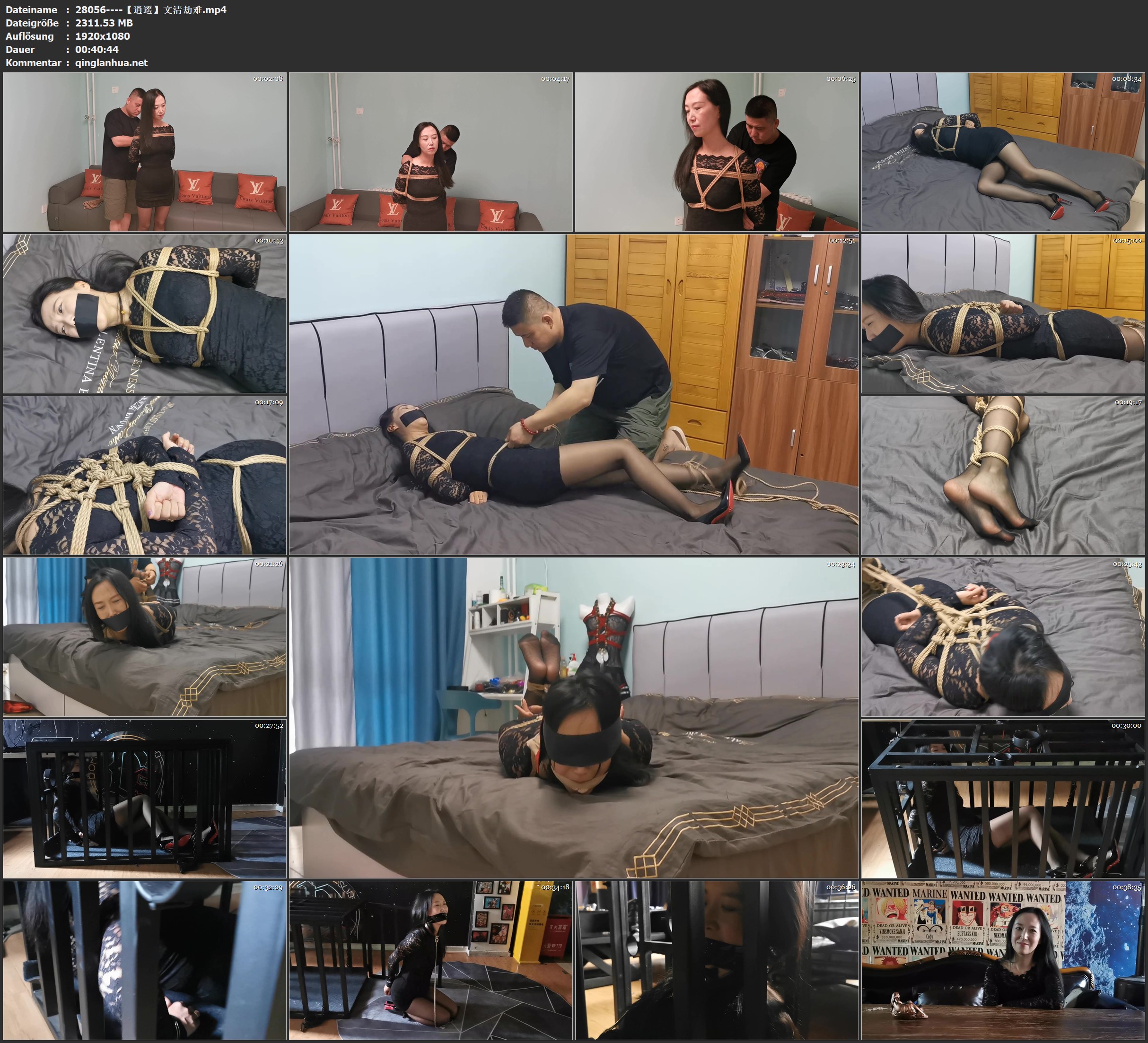 28056----【逍遥】文清劫难.jpg