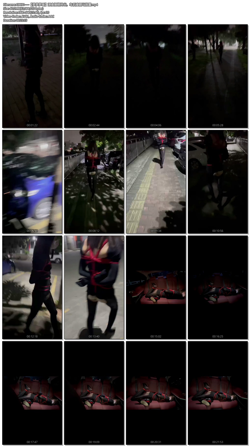 28691----【梦梦梦瑶】深夜捆绑外出，车后座驷马放置.jpg