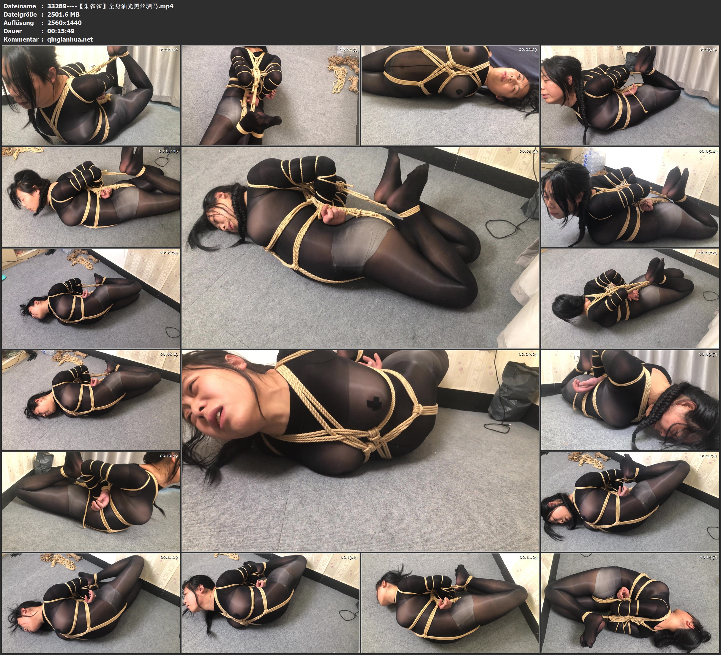 33289----【朱雀雀】全身油光黑丝驷马.jpg