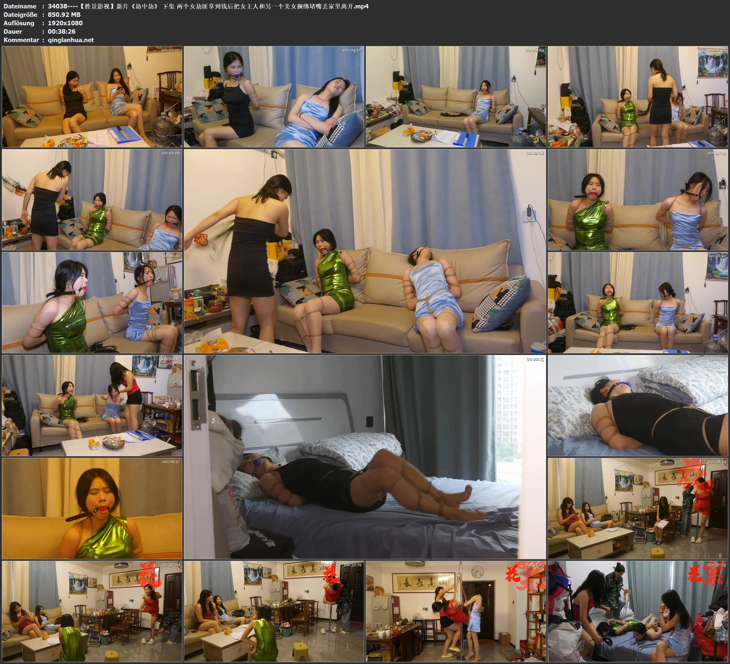 34038----【胜景影视】新片《劫中劫》 下集 两个女劫匪拿到钱后把女主人和另一个美女.jpg