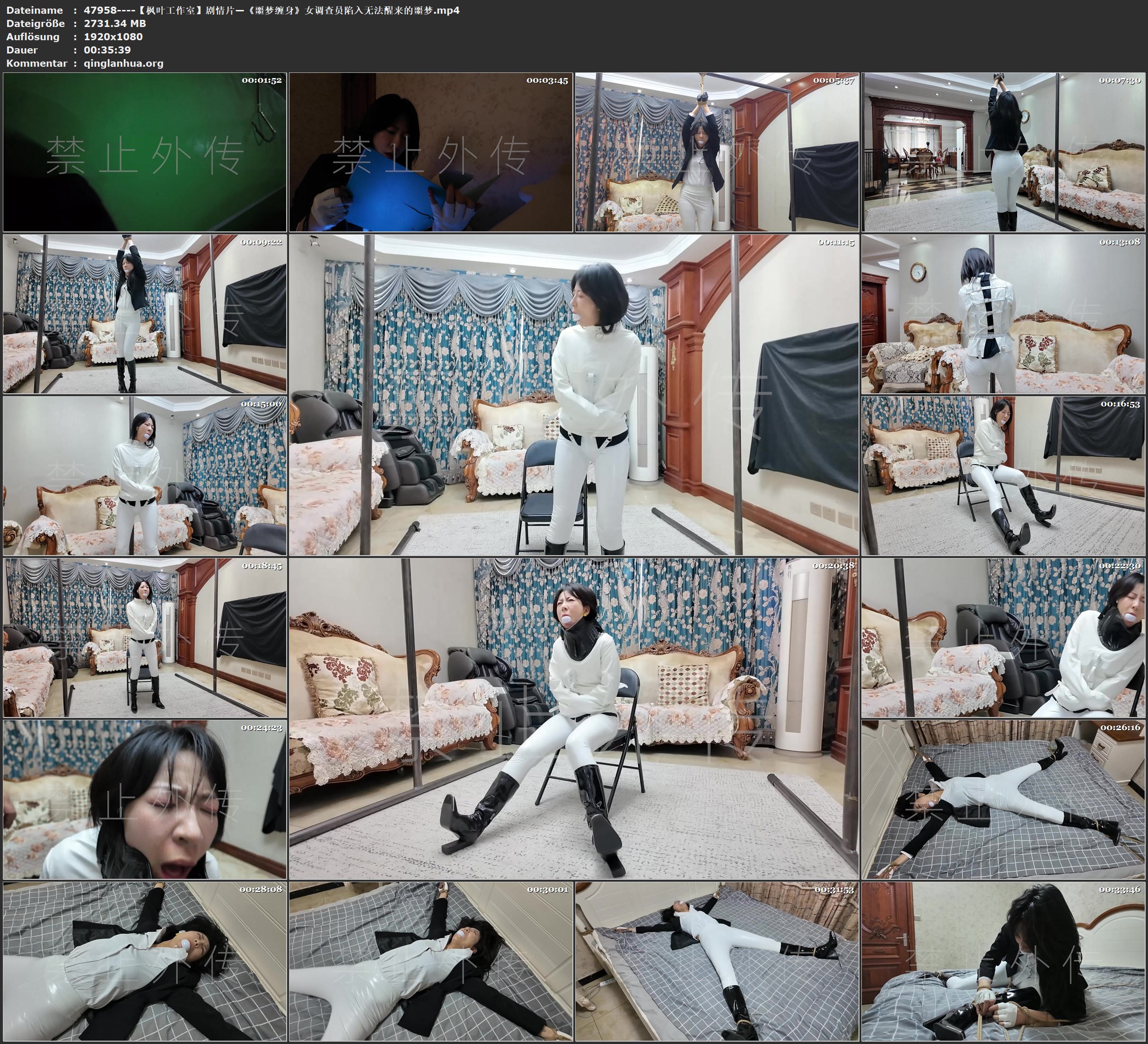 47958----【枫叶工作室】剧情片—《噩梦缠身》女调查员陷入无法醒来的噩梦.jpg