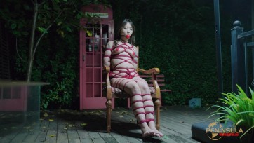 【半岛束艺台】跟波雅打赌是错误的