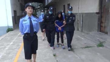 【梨花雨】妒花风雨便相催