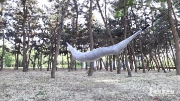 【半岛束艺台】【西玛】 你永远不知道台长会整出什么幺蛾子