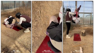 【媚娘工作室】阳光房5–灌肠，极限驷马倒吊