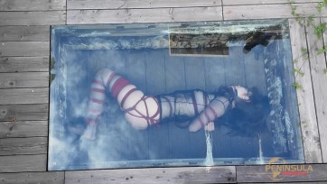 【半岛束艺台】【绿鳄】自己选的坑含泪也要跳