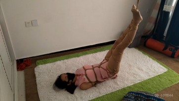 【随心原创】粉色透明旗袍