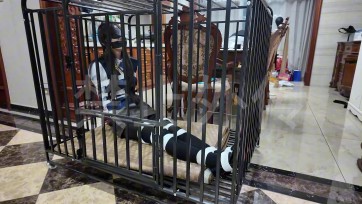 【枫叶工作室】前女友怀恨报复男友的新欢 上部