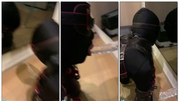 【恋鱼日记】小鱼的全包K9训练 碎片合集短视频