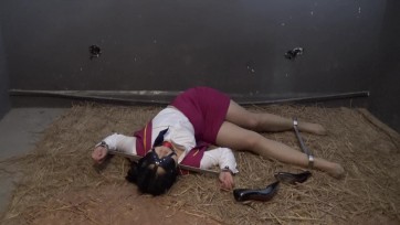 【胜景影视】新片《绑架禁锢空姐放置》 空姐被绑架关押在地牢禁锢